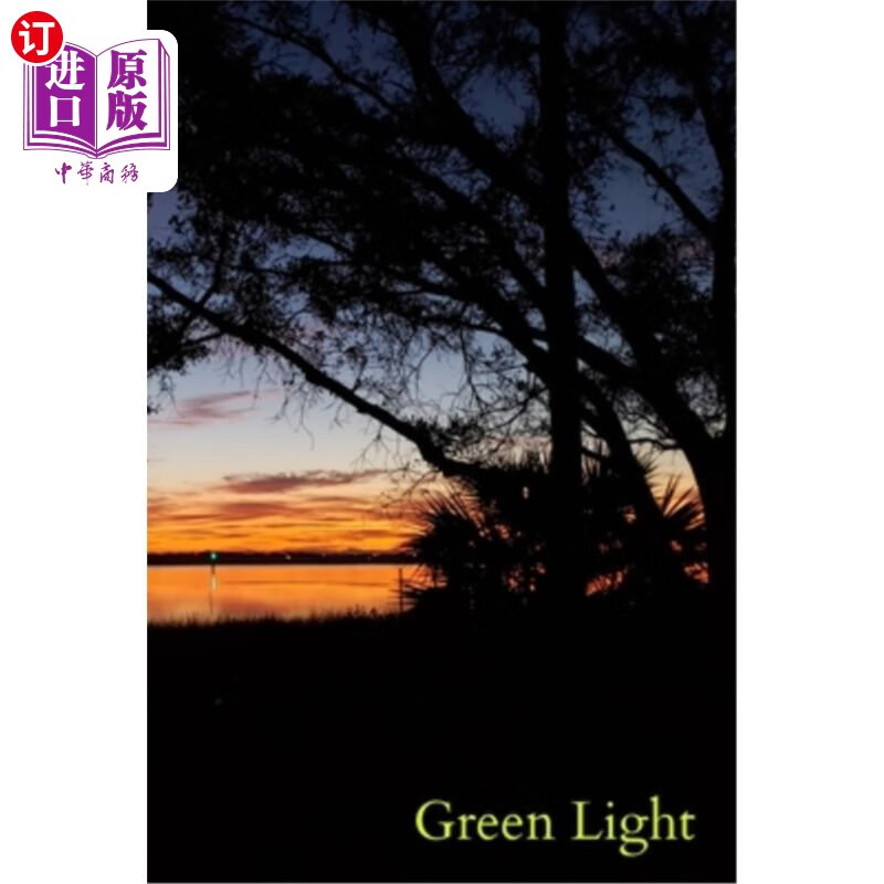 海外直订green light: on the icw 绿灯:icw上