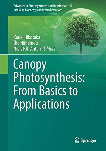 【预订】canopy photosynthesis: from basics to