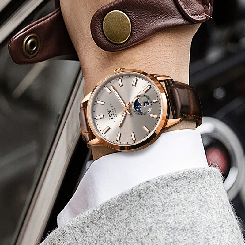 爱沃驰手表男士瑞士品牌夜光机械表进口机芯全自动男士品牌手表十大名表 升级版-玫灰皮带【进口机芯】免费刻字