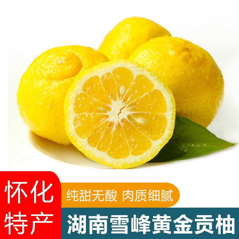 兮柔湖南黄金贡柚春香柚子怀化特产雪峰山小柚子丑八怪当季新鲜水果 5