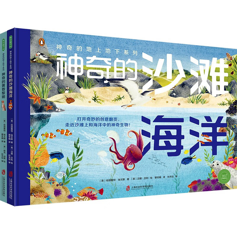 神奇的地上地下系列（神奇的沙滩海洋+神奇的黄昏黎明）创意翻页，自然科普自然观察美景图画科普启蒙详情图