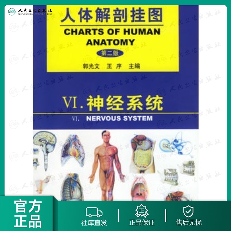 人体解剖挂图：神经系统（第二版）