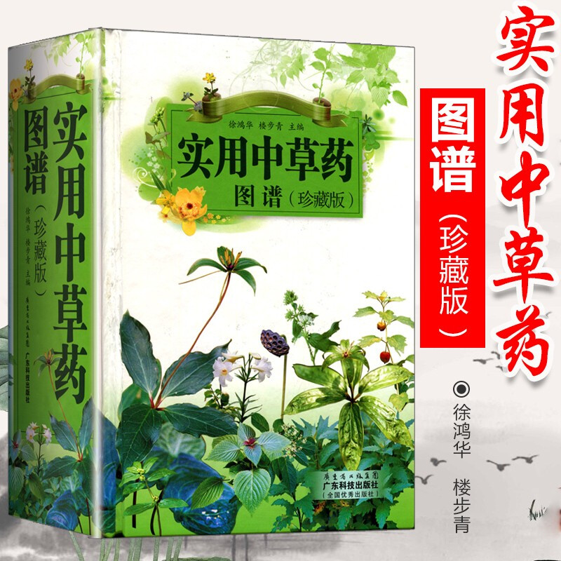 实用中草药图谱(珍藏版) 中医彩色中药鉴别识别鉴定应用图册大全 600种常见中草药 徐鸿华 楼步青
