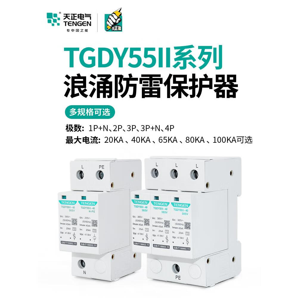 天正電氣TGDY55II浪涌電涌保護器防雷避雷器20KA40KA二級 TGDY55II20KA 1P+N