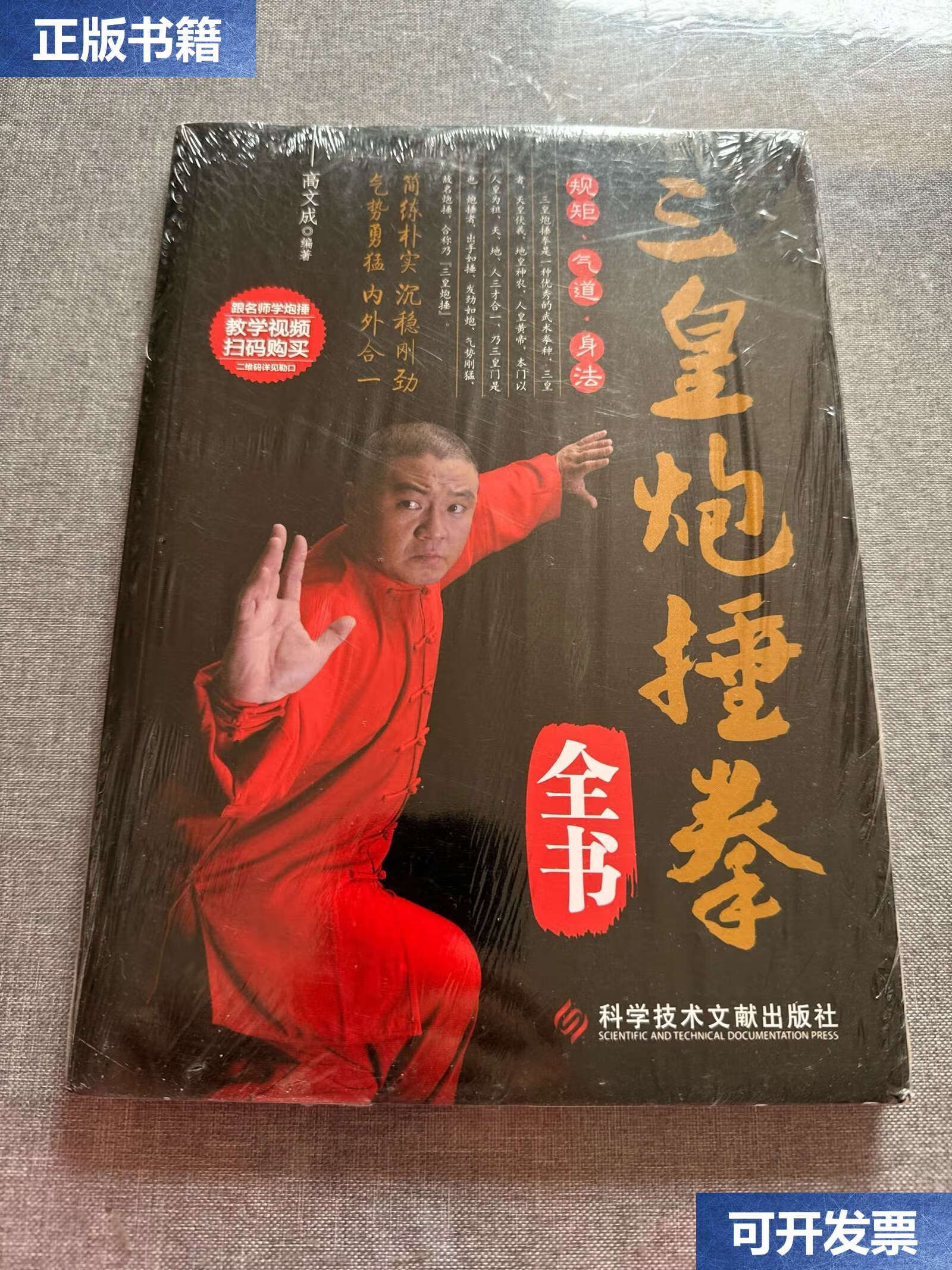 三皇炮捶视频全集