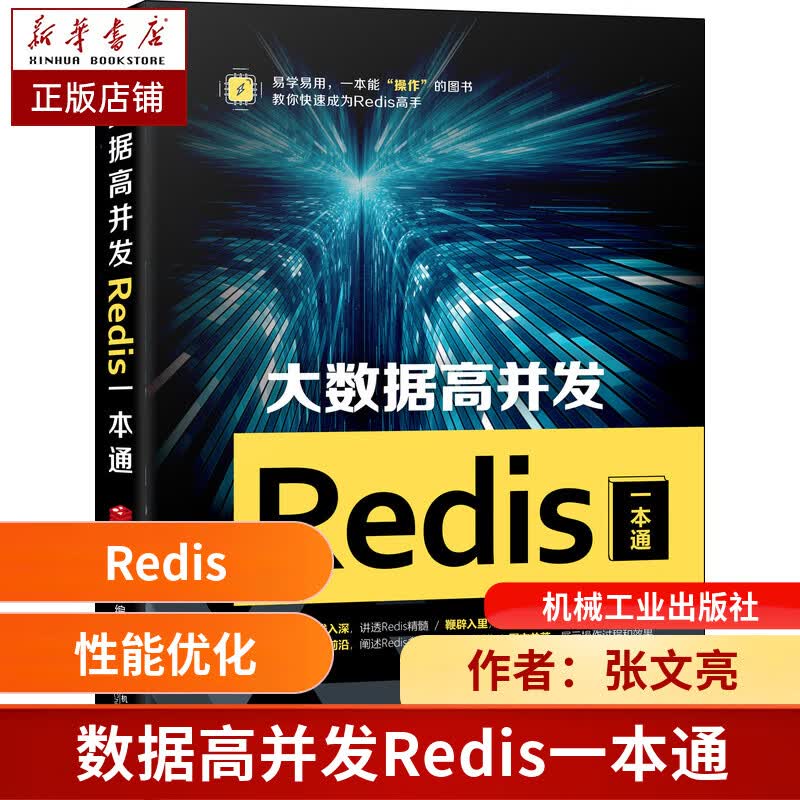 大数据高并发Redis一本通 张文亮