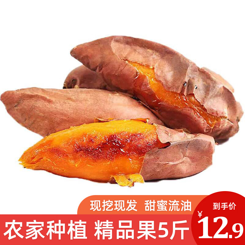 怎么看根茎类物品的历史价格|根茎类价格走势图