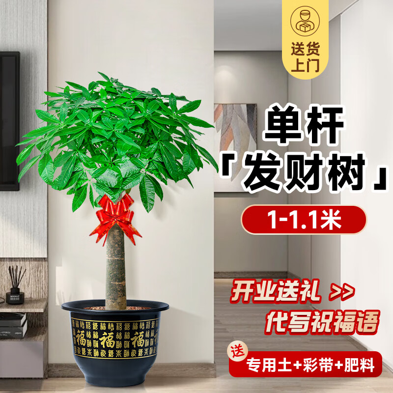 ���ڲ��������ŷ�������ֲ��������Դ�����ڰڴ��Ͳ������в����칫����Ǩ��ҵ ���˷�����1.0-1.1+������