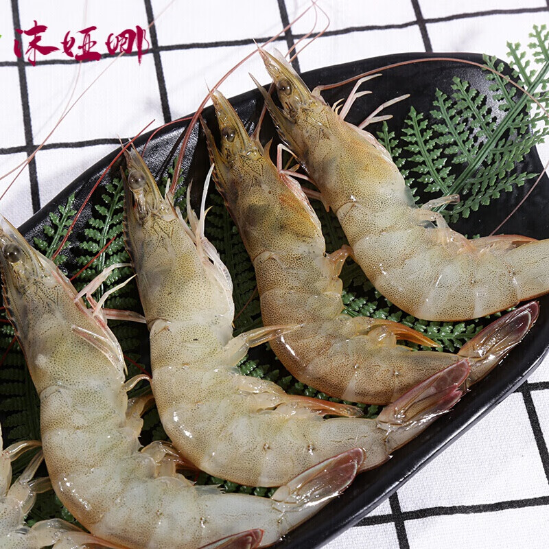 德祥隆每日现捕海鲜鲜活海虾福建新鲜大虾500g