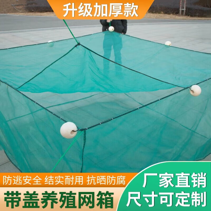曼圣养鱼网箱专用尼龙养殖网带盖10目鱼苗小龙虾防逃网泥鳅黄鳝存鱼网