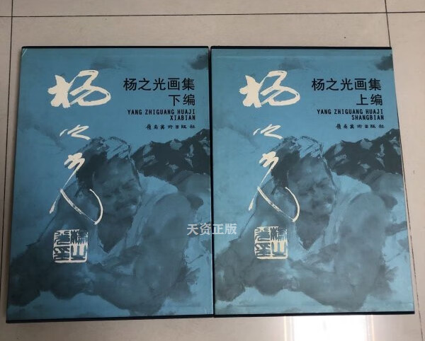 【二手9成新】杨之光画集 上下编 杨之光 岭南美术出版社