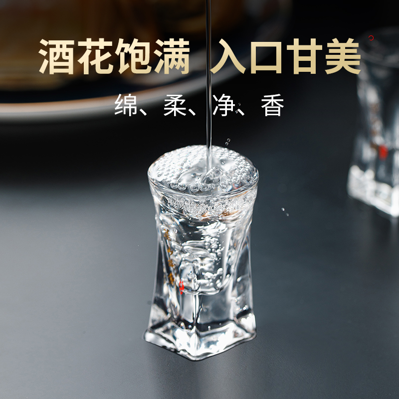 西凤华山论剑50年52度陈酿凤香型经典名酒白酒送礼 52度 500mL 1瓶