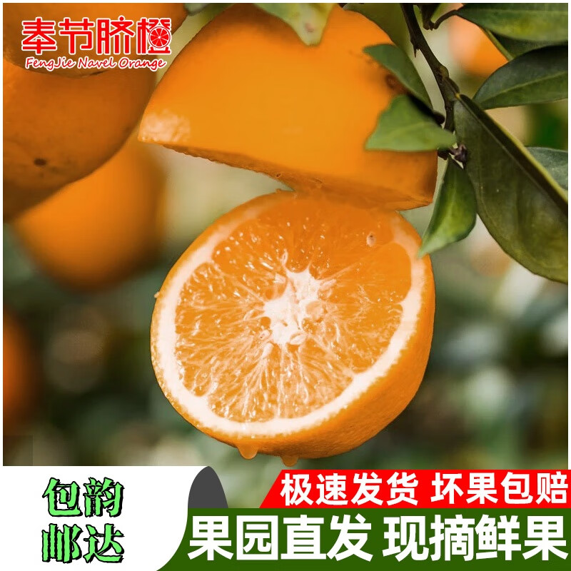 奉节脐橙原产地正宗奉节脐橙10斤维C 当季生鲜孕妇水果橙子甜橙手剥橙新鲜 【热卖】净重9斤-单果70-80mm