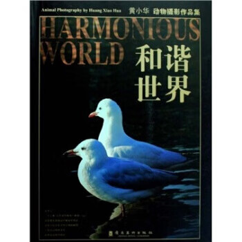 和谐世界 黄小华 著 9787536240513 岭南美术出版社