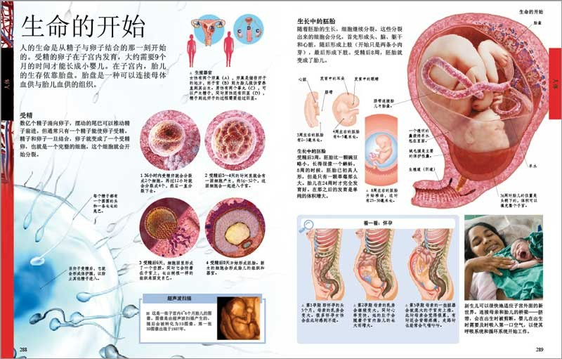 DK儿童百科全书（2021年全新印刷） 开学必备 课外读物详情图
