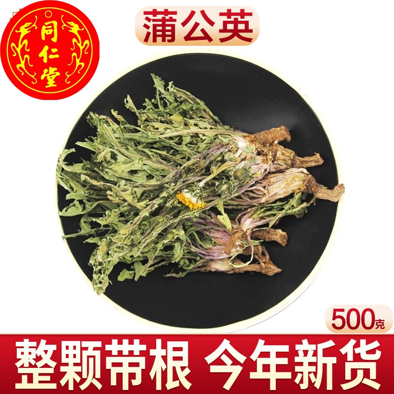 野生蒲公英根茶新鲜带根整根整棵整株现挖鲜草全草干货中材500g
