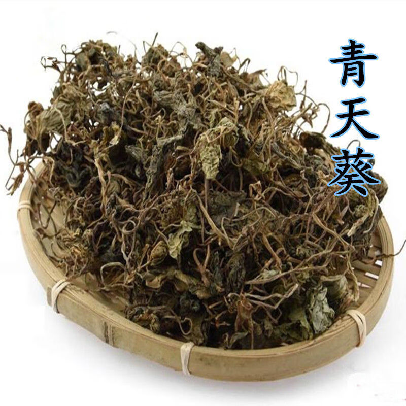 中药材细叶青天葵 独脚天葵猪乸耳 珍珠叶 半边伞坠千斤 100克