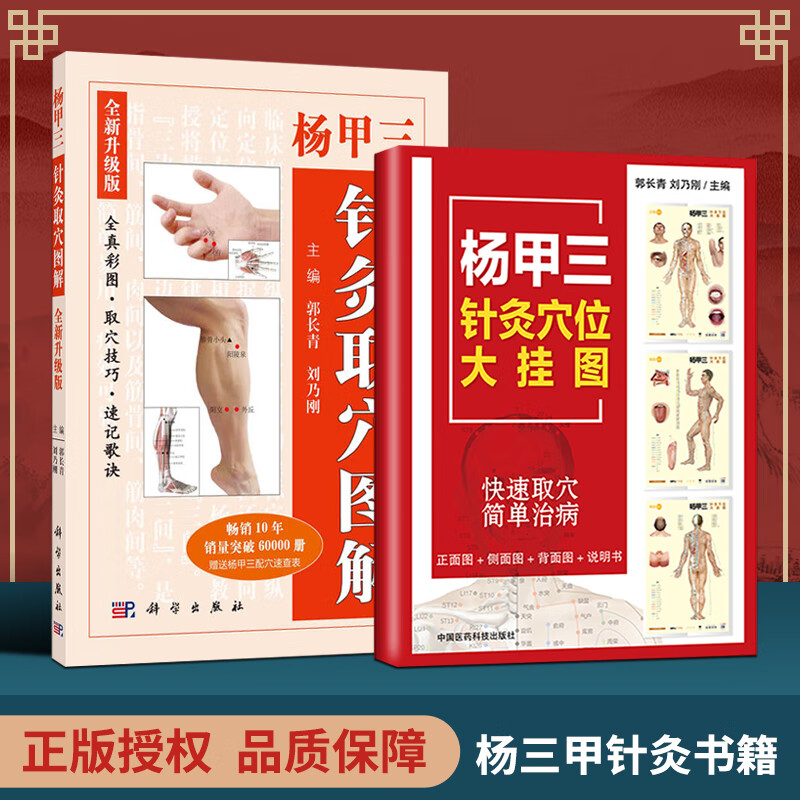 杨甲三针灸取解(全新升级版) 郭长青刘乃刚主编高清标准全身人体十