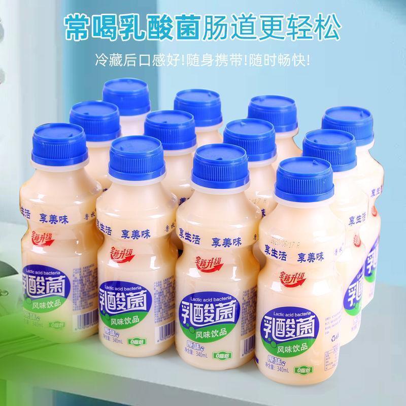 酸奶乳酸菌饮品340ml整箱早餐酸奶益生菌牛奶饮 乳酸菌12瓶