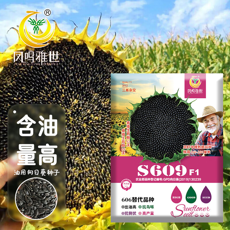 凤鸣雅世矮大头油葵种子春夏秋播食用榨油出油率高s609油葵种子100克