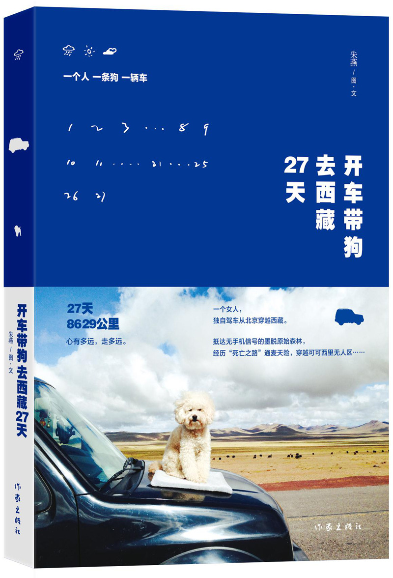 开车带狗去27天