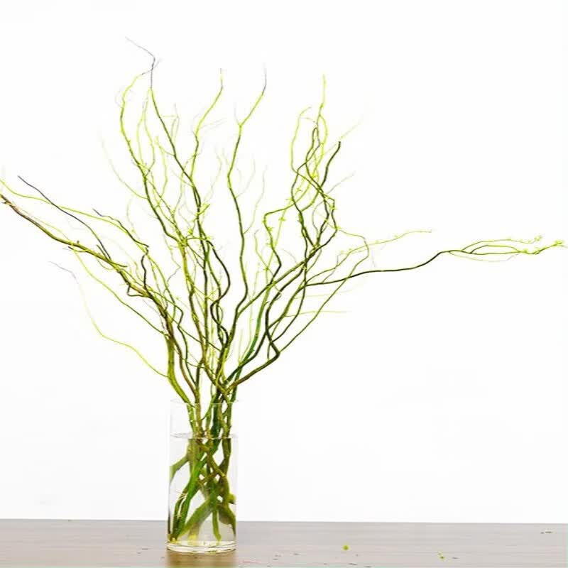 种花迷龙柳鲜枝插花客厅水培植物花卉室内鲜花水养干枝雪柳 龙柳鲜 龙柳鲜支60cm高10支修剪发货