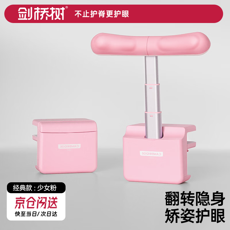 剑桥树儿童坐姿矫正器小学生纠正小孩写字姿势隐形支架防低头 经典款 少女粉