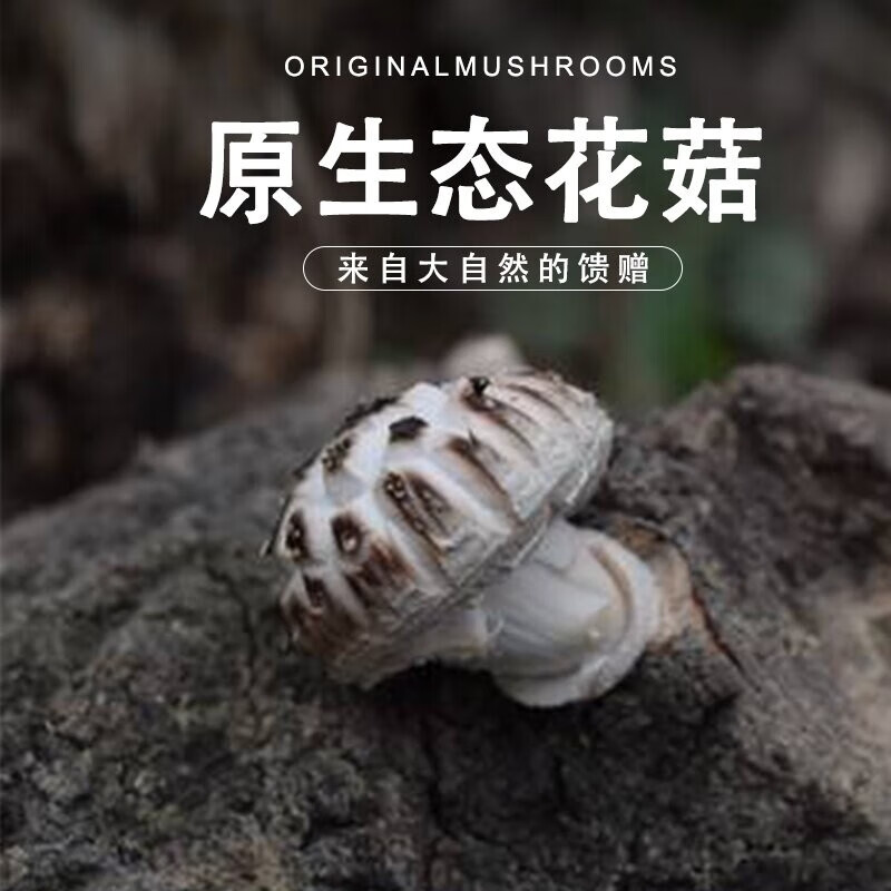 吉膳堂花菇椴木伍福300g干货煲汤厚味野生真的好吗？优缺点大全！