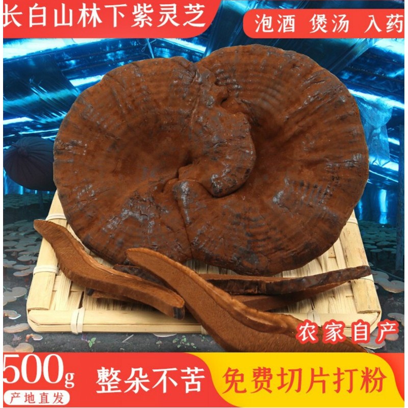【官方旗舰】灵芝500g整枝东北半紫林芝大泡酒 可切片【优选】 图片色