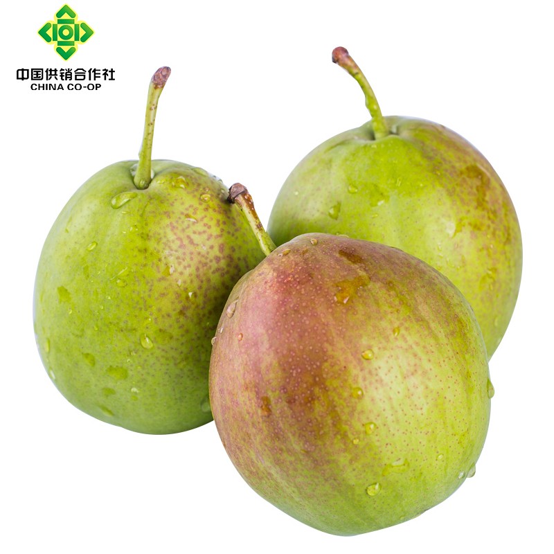 秋馥【河北特产馆】新香梨箱装 一级精品大果生鲜水果 邢台威县特产