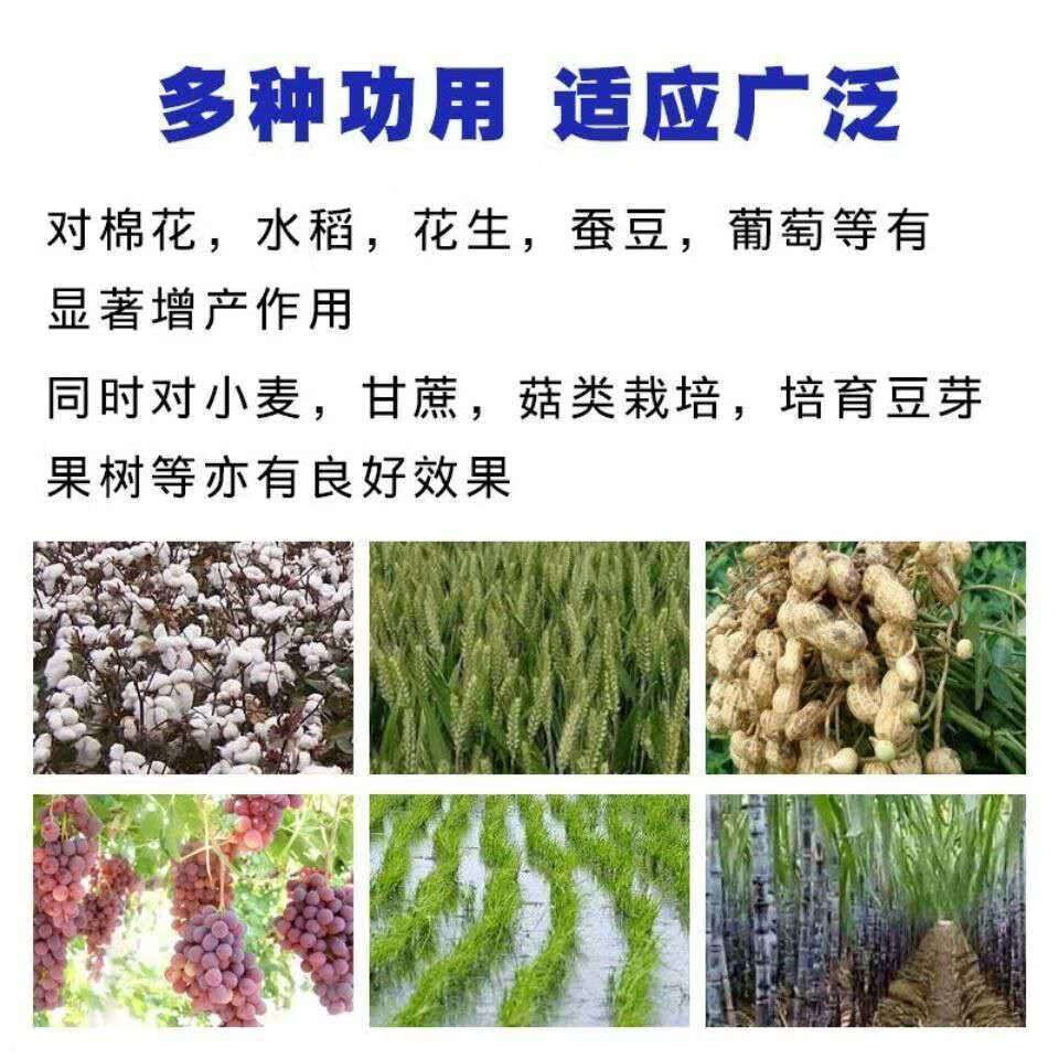 七水硫酸锌 农业级微量元素叶面肥瓜果蔬菜果树通用型七水硫酸锌 25公斤
