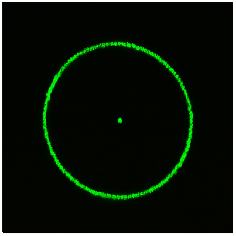 激光光栅 圆形图案中间一个点 doe光学衍射元件镜片 dg光栅片 pet 0.