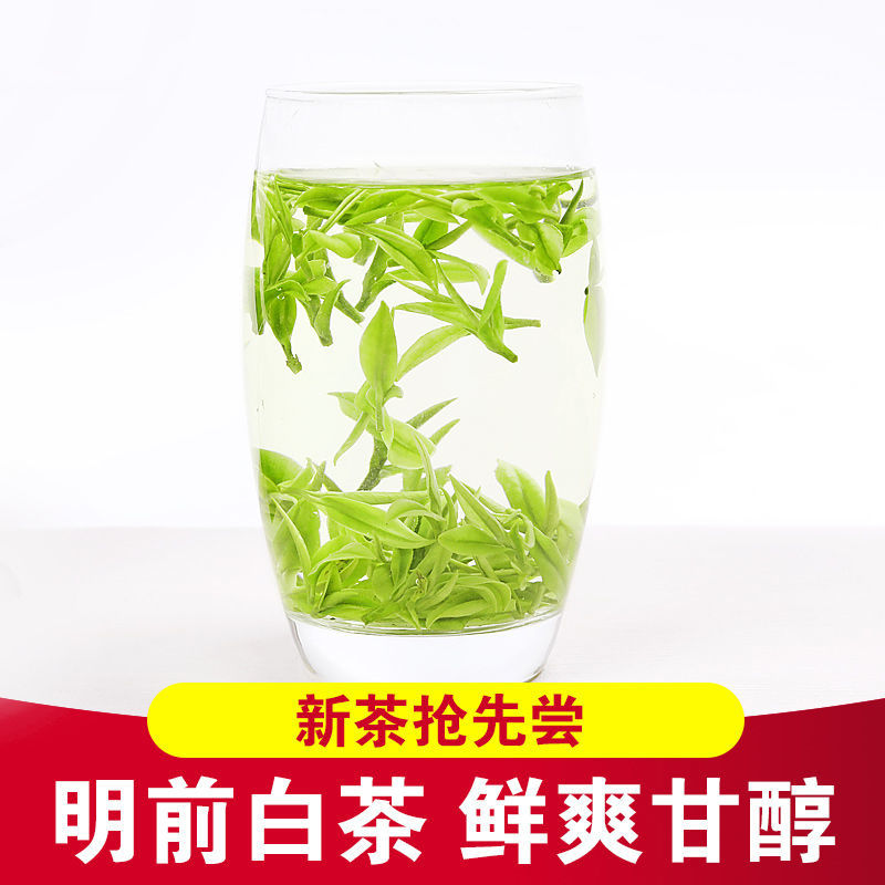 食上猴2024年新茶珍稀白茶茶叶绿茶雨前高山珍稀白茶茶叶 2罐装250g