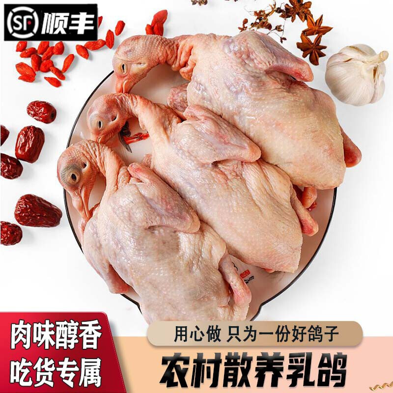 康胜谊【顺丰冷链】冰鲜乳鸽 正宗散养农家土鸽 新鲜鸽子肉 5只三年