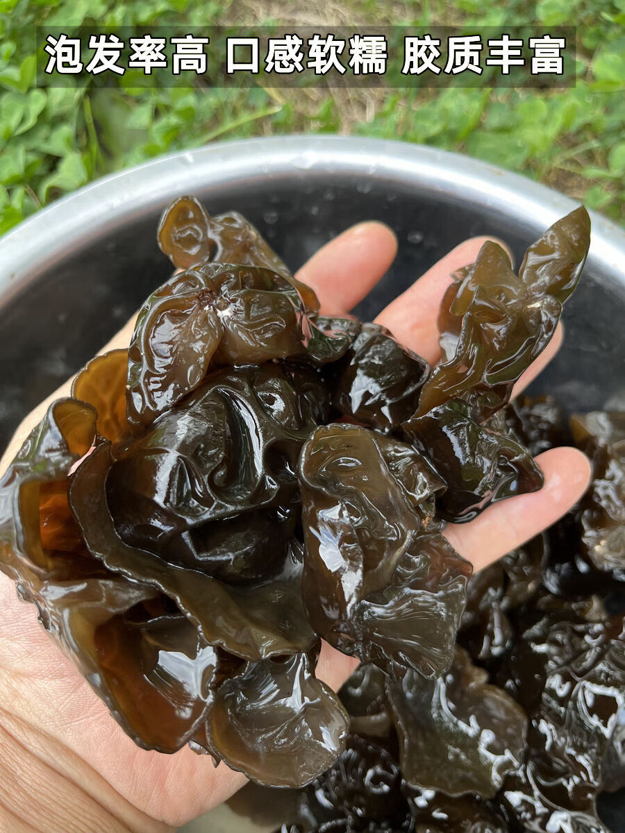 iosn黑木耳干货黑龙江特产天然半柞木段木耳秋耳散装无根大朵500g 朵