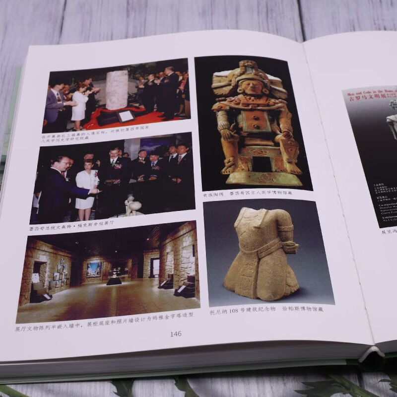 美美与共(上海博物馆特别展览集粹)/上海博物馆特展纵览 馆特展纵览