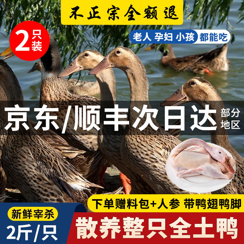 颐乡情现杀农家散养新鲜鸭肉生鲜白条鸭冷冻整只樱桃谷鸭大白鸭老土鸭子 农家仔鸭2只【净2斤1只】+料包+人参