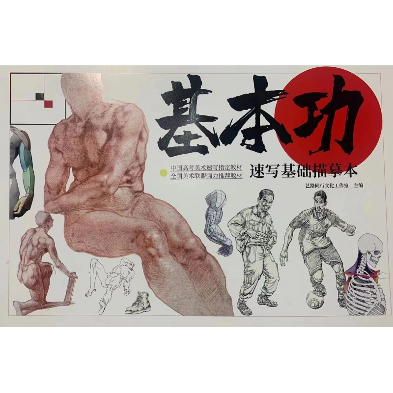 基本功速写基础描摹本王朋飞基础教学人物速