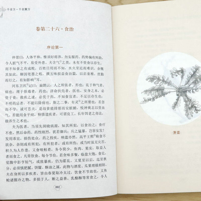 千金方千金翼方唐孙思邈著中医学经典基础理论中华医学综合性实操 千金方千金翼方唐孙思邈著中医学经典基础理论中华医学综合性实操