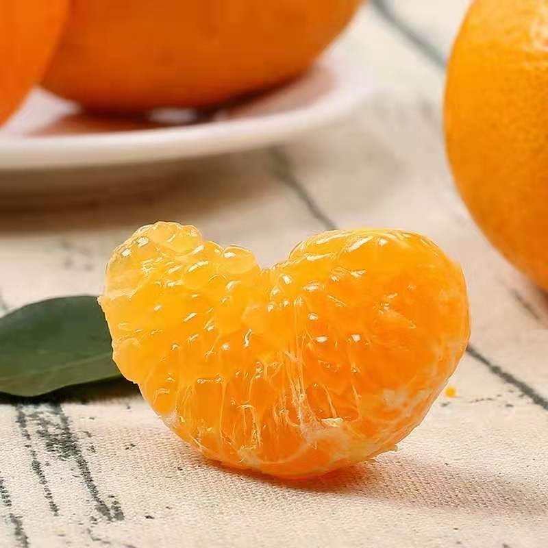 广供天下 四川蒲江耙耙柑春见柑橘当季新鲜水果现摘整箱柑橘 4.5斤70-75mm