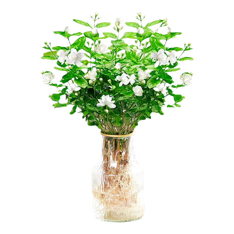 ˮֲﻨ԰칫ڿˮʻļ辰 +ӻ+Զˮ*2