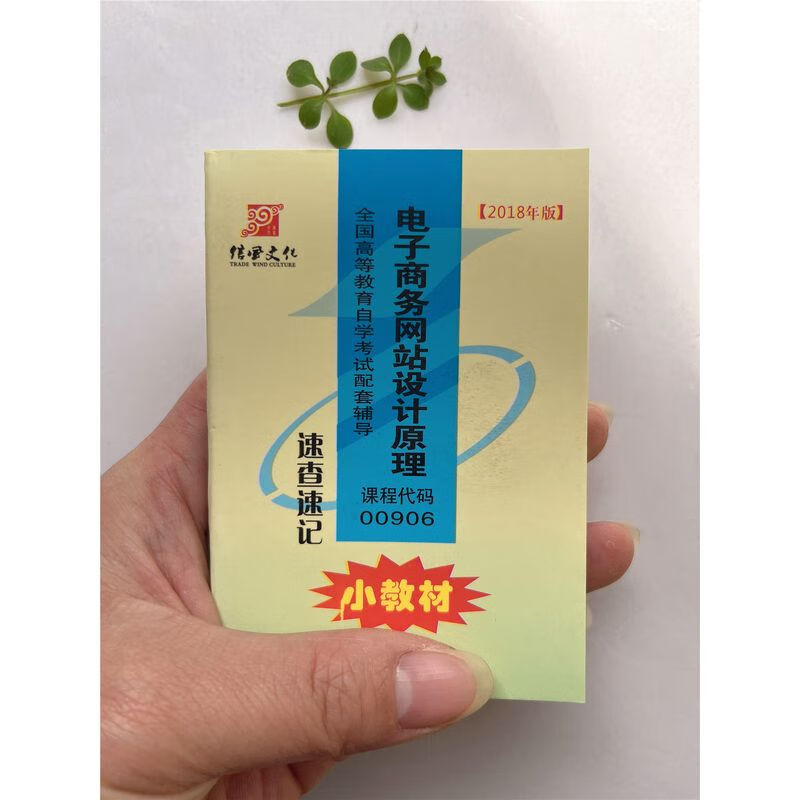自考小册子 00906 电子商务网站设计理 速查速记小教材