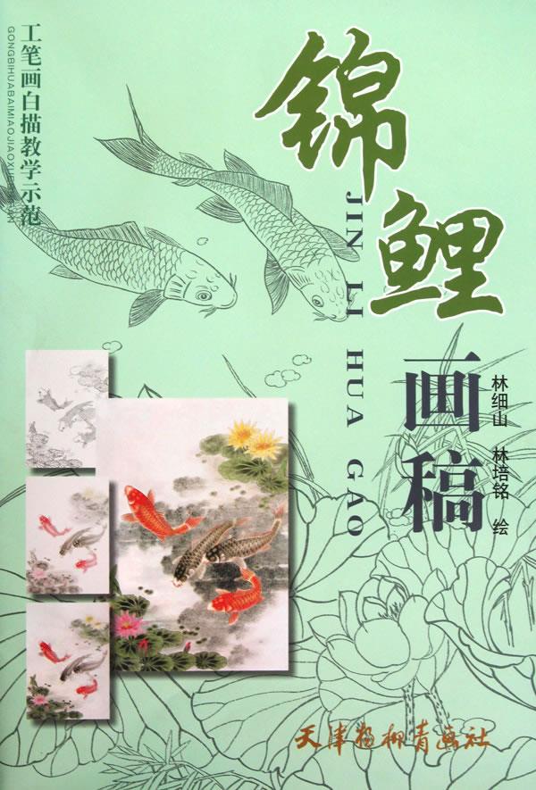 锦鲤画稿【正版图书】