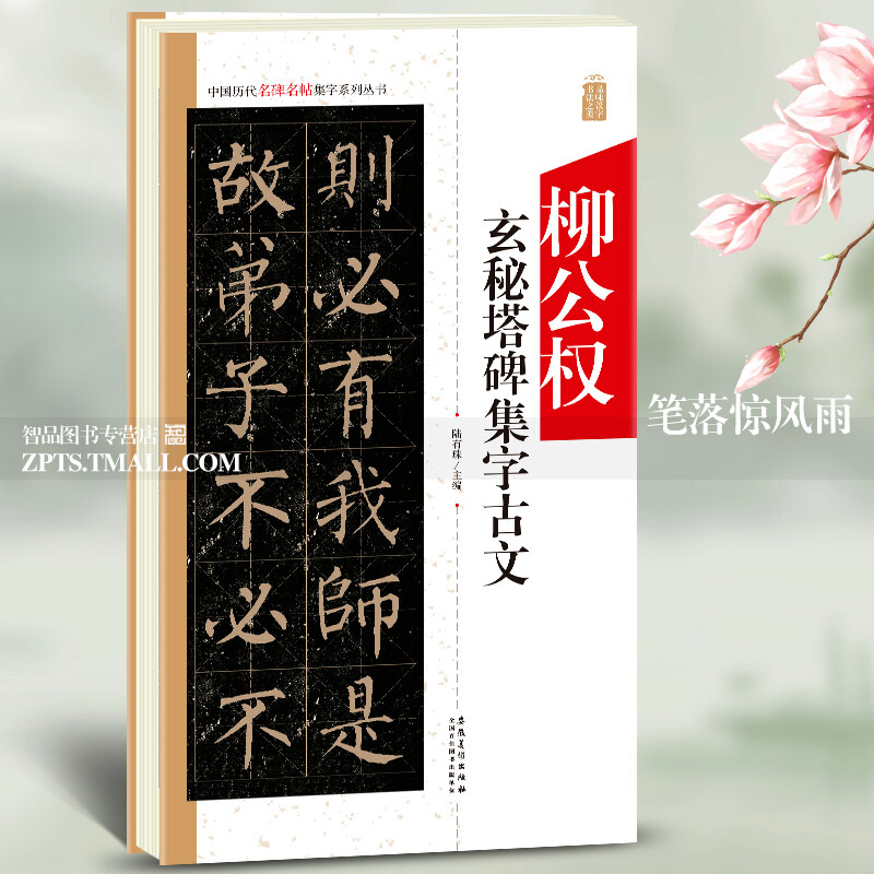 柳公权玄秘塔碑集字古文中国历代名碑名帖集字系列 陆有珠 毛笔软笔