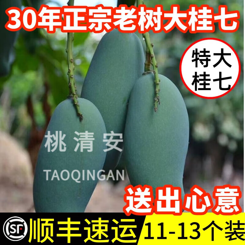千朵云广西百色田东桂七芒果 新鲜10斤整件一级大桂七送礼青皮芒当季