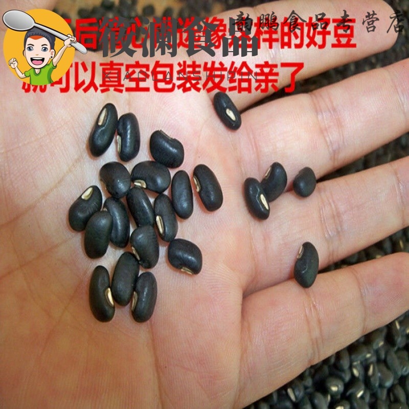 蘊召廣西馬山土黑豆又叫黑飯豆黑眉豆農(nóng)家自種老品種腎形五谷雜糧 5斤