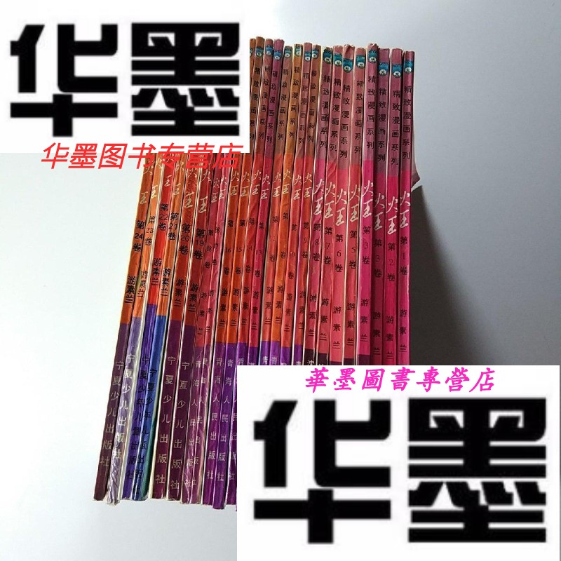 【二手9成新】精致漫画系列:火王