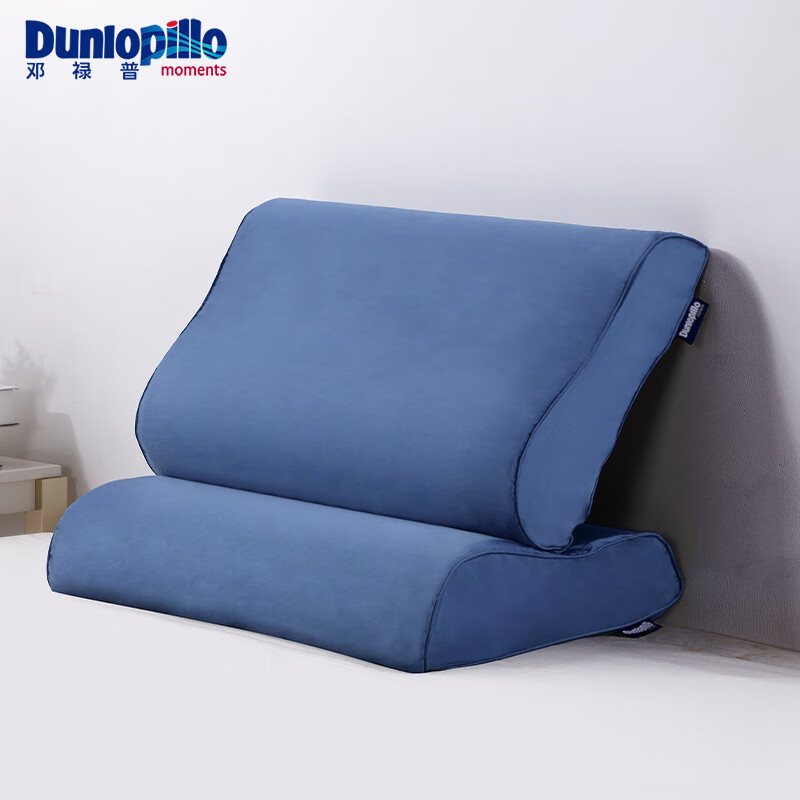 邓禄普（Dunlopillo）舒享波浪枕套 乳胶枕套 成人儿童适用单人枕套60S贡缎 雾蓝