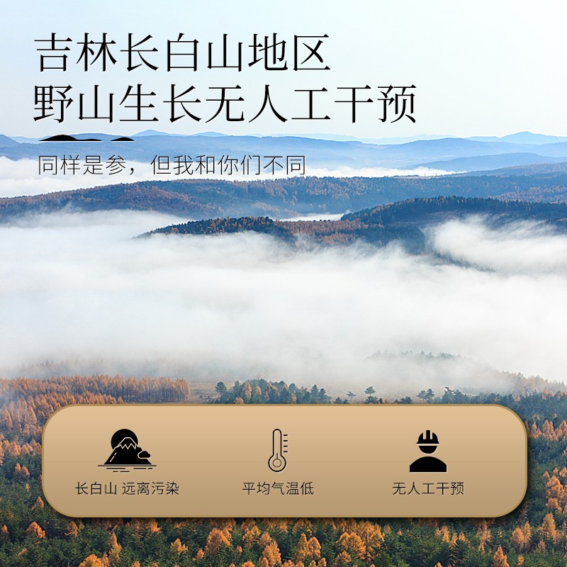 同庆和堂 15年以上林下野山参5-8克 人参礼盒