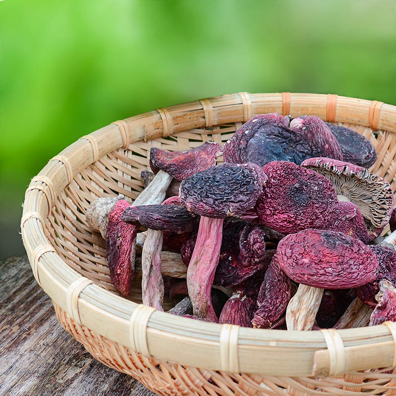 禾澹福建三明红菇土特产干货月子营养滋补煲汤食材煮面粉汤 50g